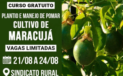 Sindicato Rural fará curso sobre cultivo de maracujá em Três Lagoas