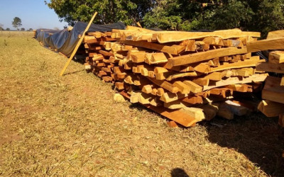 Empresa é multada em mais de R$ 20 mil por exploração ilegal de madeira