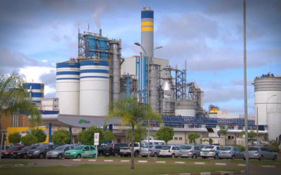 Açúcar e celulose puxam balança comercial e MS registra superávit de US$ 252 mi