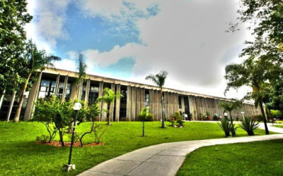 Assembleia aprova projeto da Bolsa-Atleta e Bolsa-Técnico em primeira discussão
