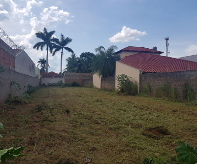 Prefeitura realiza limpeza e aplica multa para donos de 340 terrenos