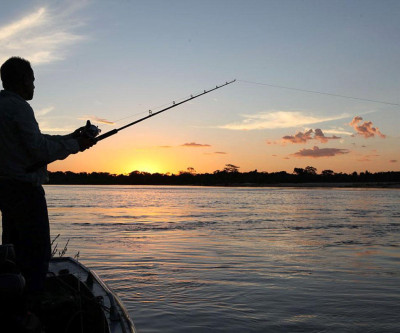 Cota zero para pesca amadora  só vai entrar em vigor em 2020