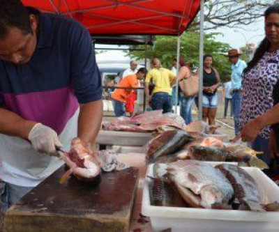 Prefeitura de Três Lagoas realiza 6ª Feira do Peixe
