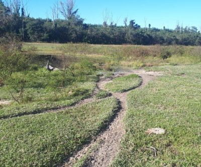 PMA de Três Lagoas autua infratora em R$ 23 mil por degradar nascentes e áreas protegidas de matas ciliares de córrego