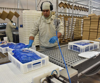 Índice Geral de Desempenho Industrial de MS completa 17 meses acima dos 50 pontos
