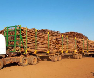 Suzano inova e cria modelo inédito de descarregamento de madeira em Mato Grosso do Sul