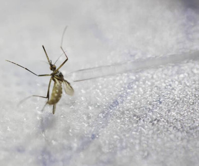 BOLETIM EPIDEMIOLÓGICO – Quarta semana contabiliza aumento no número de casos suspeitos de Dengue