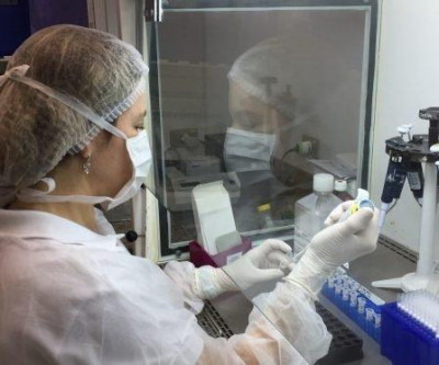 Número de doentes pode ser maior em MS: o risco da subnotificação na guerra contra o coronavírus