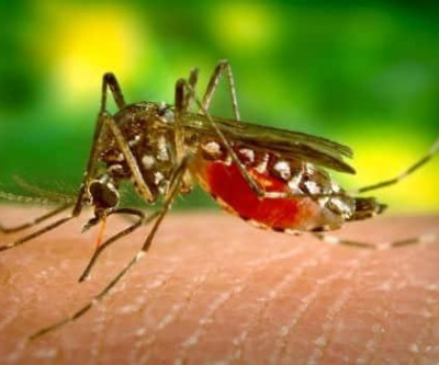 Três Lagoas confirma primeiro caso de Zika Vírus