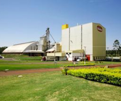 Em MS, 243 funcionários de frigoríficos já testaram positivo para coronavírus