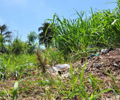 Proprietários de terrenos baldios sujos que não cumpriram notificação de limpeza via Decreto estão sendo multados