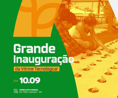 Com entrada gratuita, Vitrine Tecnológica em Horticultura inaugura com diversas ações em prol do pequeno produtor rural de Três Lagoas