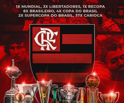 O futebol do Flamengo é besta ou bestial?
