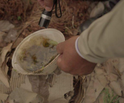 MS registra 2 casos confirmados de dengue em novo boletim