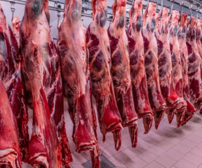 Carne bovina fica fora do tarifaço dos EUA e pecuaristas de MS respiram aliviados