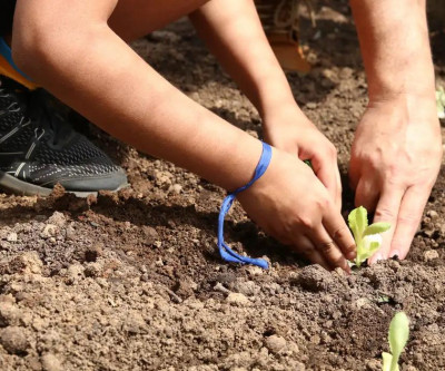 Entidades pedem apoio de candidatos em defesa da agroecologia