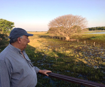 Pedro Chaves é o  relator de projeto que define regras para gestão e proteção do Pantanal
