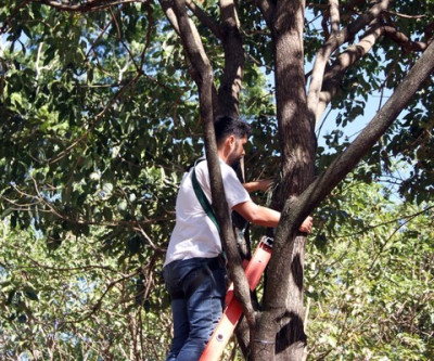 Lagoa Maior recebe 120 vasos com orquídeas retiradas de reserva ambiental