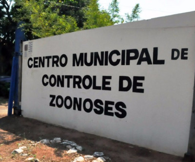 Justiça mantém condenação por matança de animais no CCZ de Três Lagoas