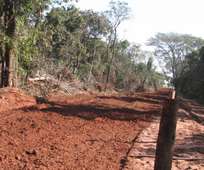 Operação Cachorro-Vinagre constata 4,2 mil hectares de desmatamentos ilegais