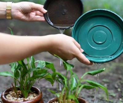 Mutirão contra o Aedes Aegypti é realizado pela Prefeitura de Brasilândia