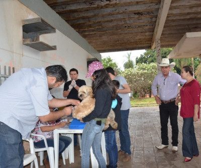 Equipe do CCZ vacina 644 cães e 76 gatos no primeiro dia da campanha