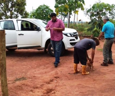 Equipes da Saúde imunizam cães e gatos de casa em casa