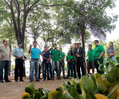 Segunda ação do Projeto “Áreas Mais Verdes” da Secretaria de Meio Ambiente será no Jardim Maristela