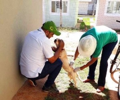 Equipes da Saúde estarão na feira de sábado vacinando cães e gatos
