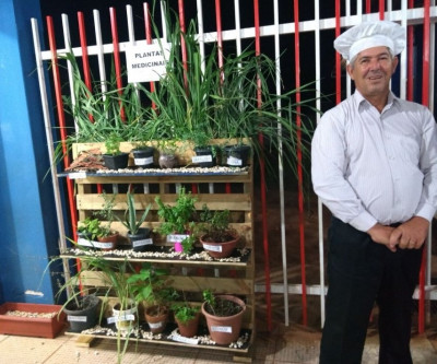 Escola Municipal Professor Elson Lot Rigo desenvolve projeto com Plantas Medicinais