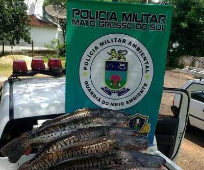 PMA bate recordes no 1º mês de Piracema com 1,2 tonelada de pescado apreendida e R$ 110 mil em multas
