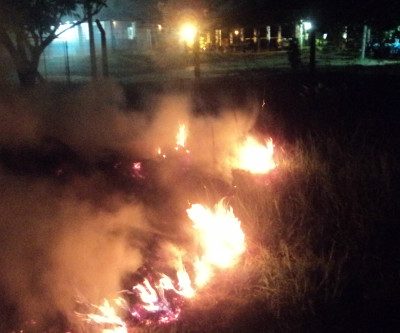 PMA prende e autua motorista em R$ 5 mil por crime de poluição ao realizar incêndio em vegetação 