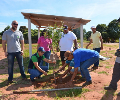 Projeto Áreas Mais Verdes realiza plantio de árvores no campo do Bairro Santa Rita