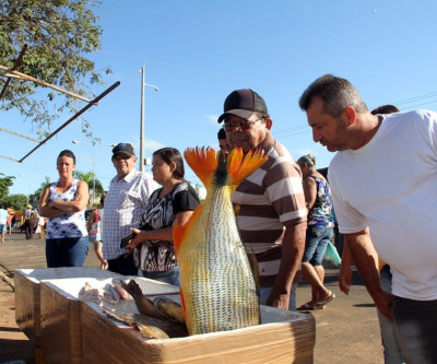 5ª Feira do Peixe poderá comercializar até 15 toneladas de pescado