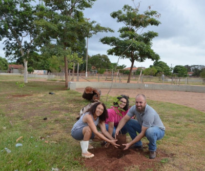 Praça do jardim das Acácias recebe mais 25 mudas de árvores pelo Projeto Áreas Mais Verdes