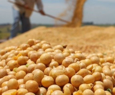Em MS, preço da saca de soja tem alta de 29,28% no período de um ano