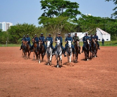 Cavalaria da PM será atração no Desfile Cívico dos 103 anos de Três Lagoas