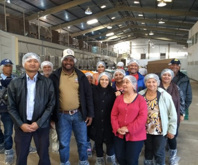 Produtores rurais do Pontal do Faia visitam cooperativa de ovos em Terenos