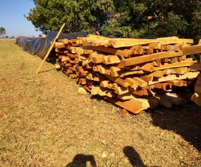 Empresa é multada em mais de R$ 20 mil por exploração ilegal de madeira