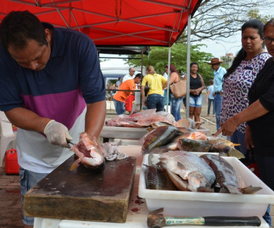 Interessados em participar da 4ª Feira do Peixe de Três Lagoas devem procurar a SEDECT até o dia 10
