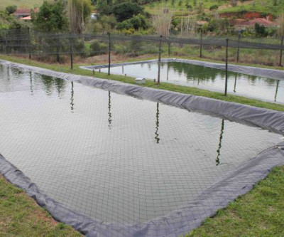 Imasul isenta de licença ambiental projetos de piscicultura de até cinco hectares
