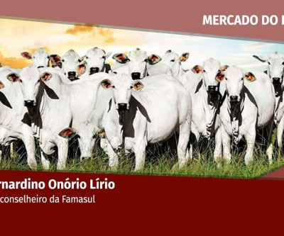 Falta de concorrência trava venda de animais; JBS é responsável por 80% da demanda