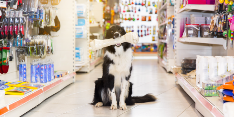 PROCON divulga pesquisa de preços de produtos para pets
