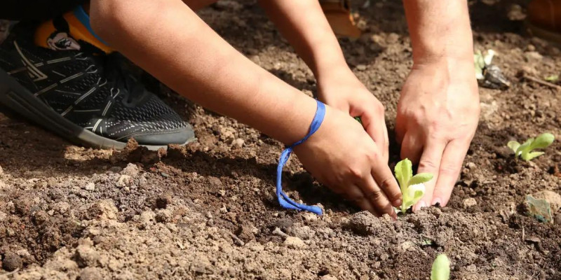 Entidades pedem apoio de candidatos em defesa da agroecologia