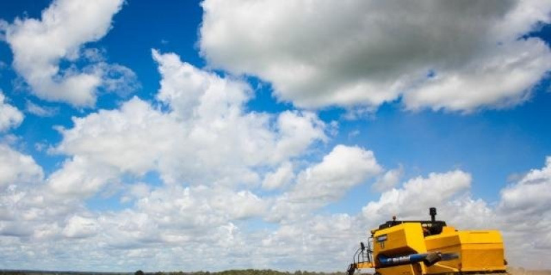 Estimativa da produção agrícola de MS é reduzida em 7% pelo IBGE