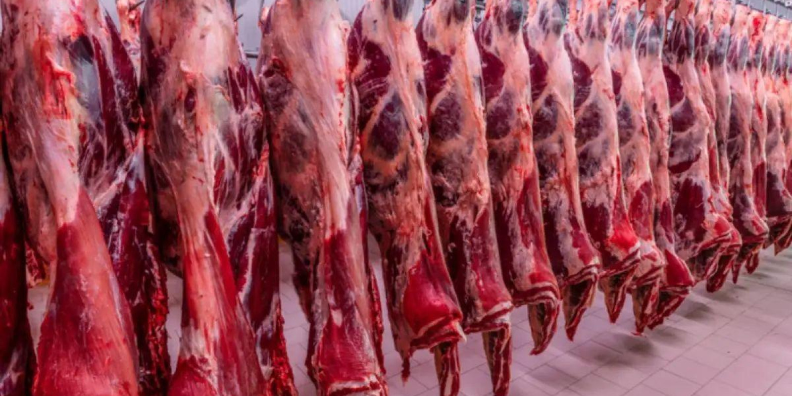 Carne bovina fica fora do tarifaço dos EUA e pecuaristas de MS respiram aliviados