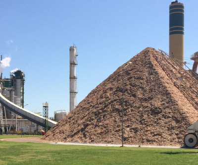 Obra da 1ª usina de MS movida a restos de madeira começa em abril