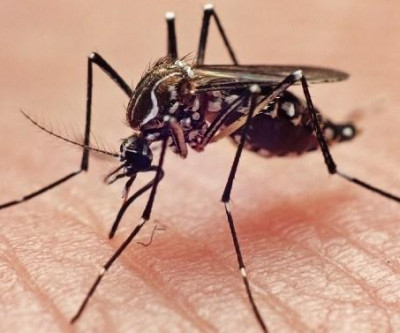 Saúde de Três Lagoas confirma a terceira morte por Dengue em 2019