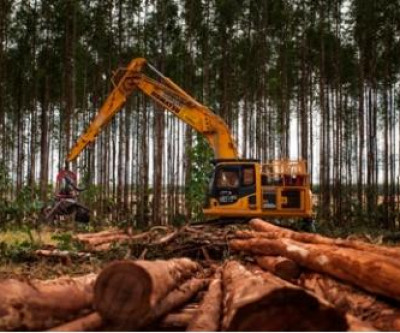 Suzano abre inscrições para curso de Operador de Máquinas Florestais em Água Clara (MS)