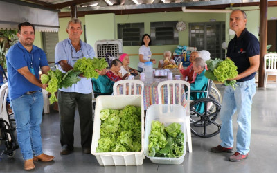 SEMEA e Viveiro Municipal realizam doação de verduras para Lar dos Idosos